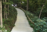 Paved cart path to lake