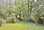 Wooded backyard