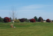 Landscaping on the Golf Course