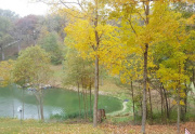 Lake View Over One of Spoon Lake's Coves