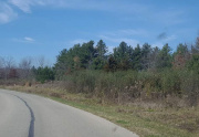 Evergreens Provide a Colorful View Year Round